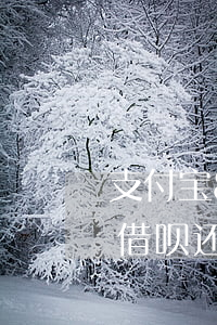 支付宝8月22借呗还款成功信息-支付宝借呗还款成功会不会有短信通知