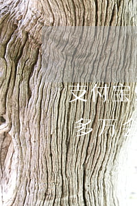 支付宝93万逾期会不会拘留 支付宝逾期十多万会坐牢不