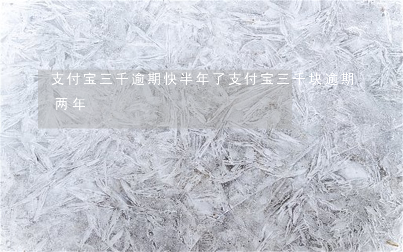 支付宝三千逾期快半年了（支付宝三千块逾期两年）