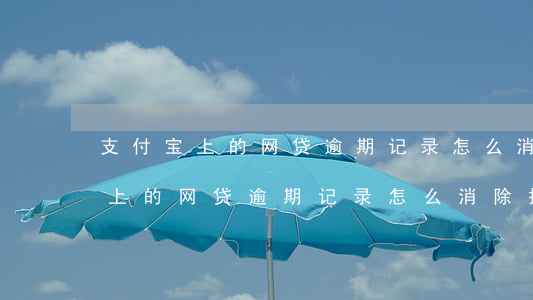 支付宝上的网贷逾期记录怎么消除-支付宝上的网贷逾期记录怎么消除掉