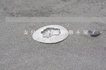 支付宝上的逾期不见了-支付宝有没有逾期