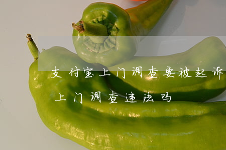 支付宝上门调查要被起诉怎么解决-支付宝上门调查违法吗