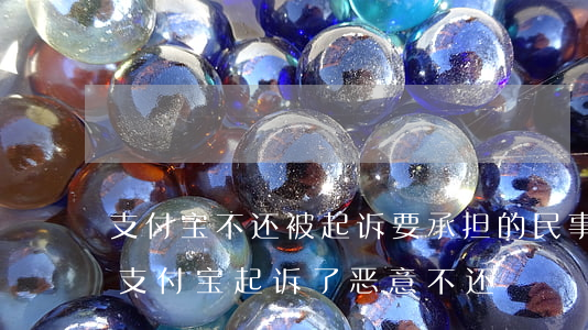 支付宝不还被起诉要承担的民事后果是什么（支付宝起诉了恶意不还）