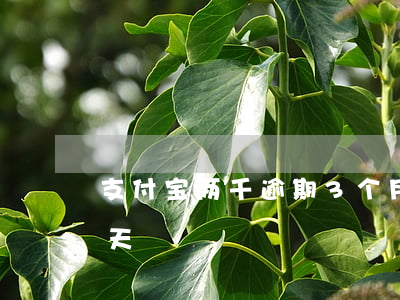 支付宝两千逾期3个月了(支付宝逾期两百多天)