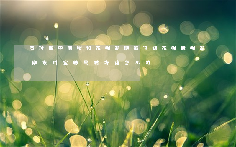 支付宝中借呗和花呗逾期被冻结 花呗借呗逾期支付宝账号被冻结怎么办