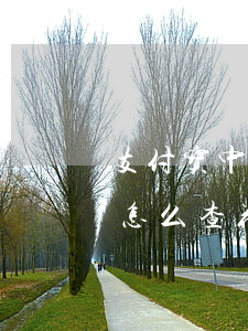支付宝中在哪里查询花呗是否逾期-支付宝怎么查花呗是否逾期
