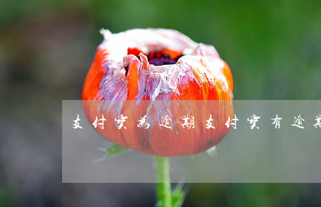 支付宝为逾期(支付宝有逾期吗)