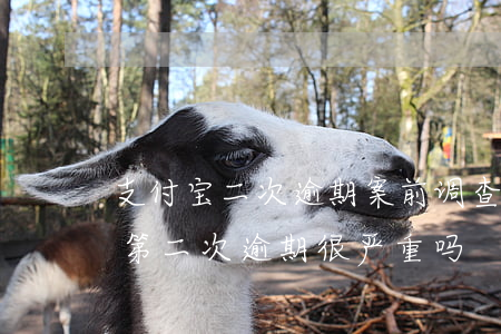支付宝二次逾期案前调查怎么回事-支付宝第二次逾期很严重吗