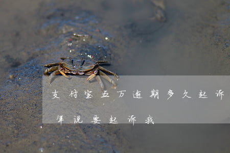 支付宝五万逾期多久起诉(支付宝五万逾期一年说要起诉我)