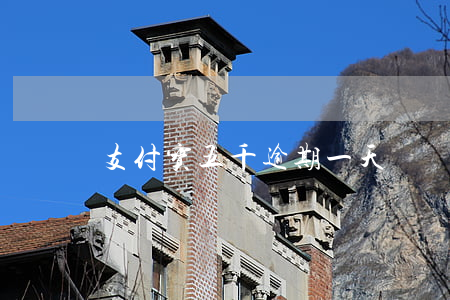 支付宝五千逾期一天