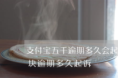 支付宝五千逾期多久会起诉（支付宝5000块逾期多久起诉）