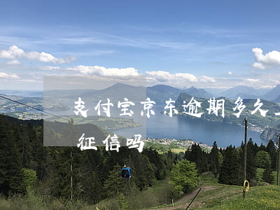 支付宝京东逾期多久上传征信(京东支付宝上征信吗)