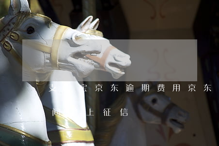 支付宝京东逾期费用(京东支付宝逾期多长时间会上征信)