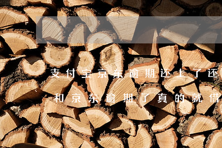 支付宝京东逾期还上了还能借钱吗-支付宝和京东逾期了真的就借不到了吗