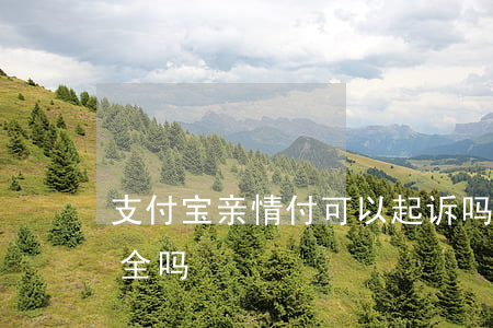 支付宝亲情付可以起诉吗-支付宝亲情付安全吗