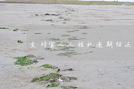 支付宝人人租机逾期归还