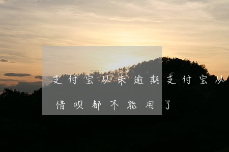 支付宝从未逾期(支付宝从未逾期为什么花呗借呗都不能用了)