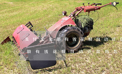 支付宝余额有钱花呗自动还款吗-支付宝余额有钱花呗自动还款吗怎么关闭