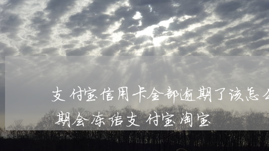 支付宝信用卡全部逾期了该怎么办（信用卡逾期会冻结支付宝淘宝）