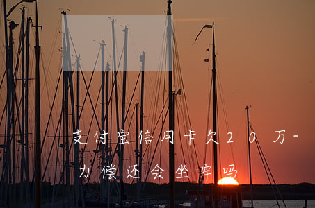 支付宝信用卡欠20万-欠支付宝20万无力偿还会坐牢吗