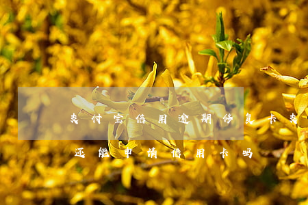 支付宝信用逾期修复卡(支付宝有过逾期记录还能申请信用卡吗)