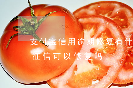 支付宝信用逾期修复有什么用(支付宝逾期的征信可以修复吗)