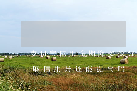 支付宝信用逾期降多少分(逾期过的支付宝芝麻信用分还能提高吗)