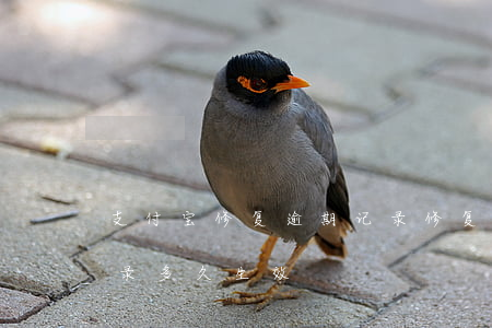 支付宝修复逾期记录修复(支付宝修复逾期记录多久生效)