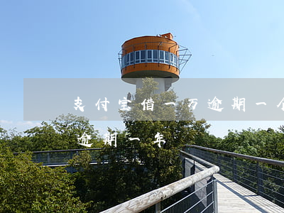 支付宝借一万逾期一个月(支付宝借呗一万多逾期一年)
