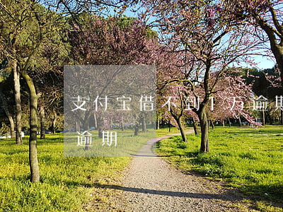 支付宝借不到1万逾期(支付宝借20000逾期)