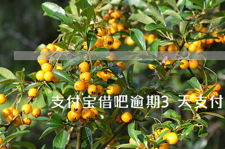 支付宝借吧逾期3天 支付宝借钱逾期