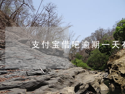 支付宝借吧逾期一天有事情吗