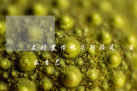 支付宝借吧逾期描述-支付宝借呗逾期是什么意思