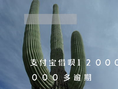 支付宝借呗12000逾期-支付宝借呗7000多逾期