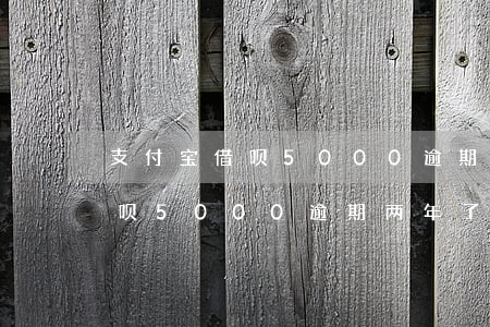 支付宝借呗5000逾期两年了-支付宝借呗5000逾期两年了怎么办
