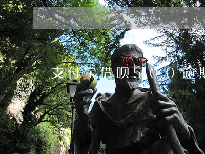 支付宝借呗500逾期图-蚂蚁借呗逾期图