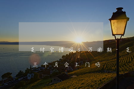 支付宝借呗5万逾期-支付宝借呗5万逾期三个月会上门吗