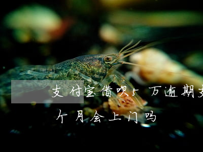 支付宝借呗5万逾期(支付宝借呗5万逾期三个月会上门吗)