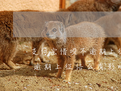支付宝借呗不逾期上征信么-支付宝借呗不逾期上征信么有影响吗