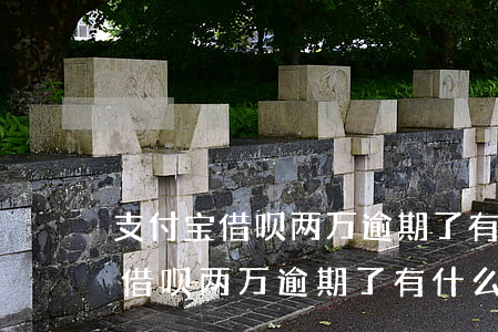 支付宝借呗两万逾期了有什么后果-支付宝借呗两万逾期了有什么后果吗