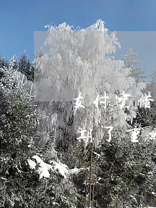 支付宝借呗严重逾期了-支付宝借呗严重逾期了,重新制定还款计划