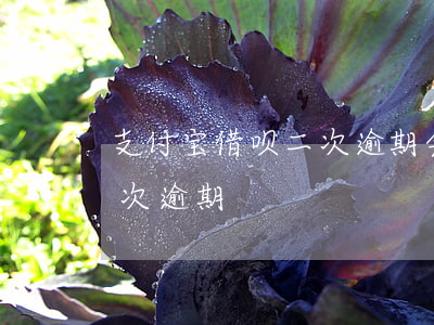 支付宝借呗二次逾期会全额还（支付宝借呗二次逾期）