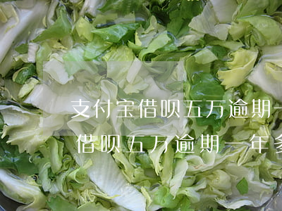 支付宝借呗五万逾期一年多少利息-支付宝借呗五万逾期一年多少利息啊