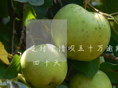支付宝借呗五十万逾期 支付宝借呗五万逾期四十天