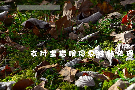 支付宝借呗停息挂账处理(花呗停息挂账)
