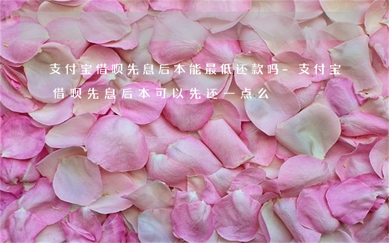 支付宝借呗先息后本能最低还款吗-支付宝借呗先息后本可以先还一点么