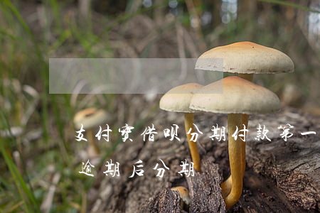 支付宝借呗分期付款第一期逾期(支付宝借呗逾期后分期)