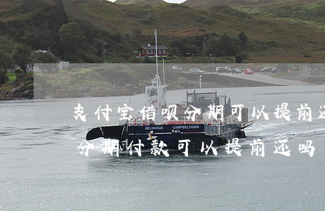 支付宝借呗分期可以提前还款嘛-蚂蚁借呗分期付款可以提前还吗