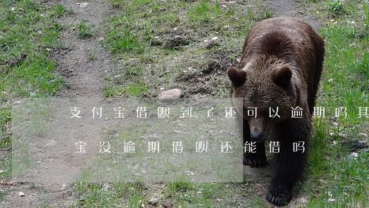 支付宝借呗到了还可以逾期吗(其它逾期,支付宝没逾期借呗还能借吗?)