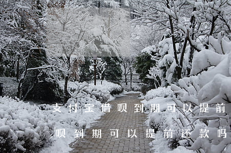 支付宝借呗到期可以提前还款吗-支付宝借呗到期可以提前还款吗怎么还